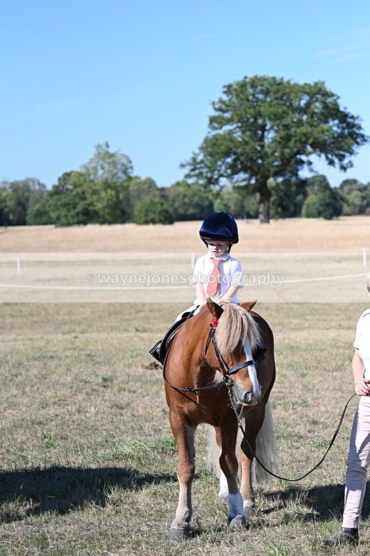 WJ7_2168 - Class 44 Child's Best Friend