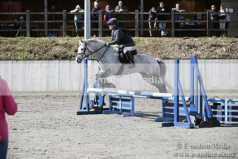 BVRC SJ 170319 409 - Bourne Valley Riding Club Showjumping 17/03/19