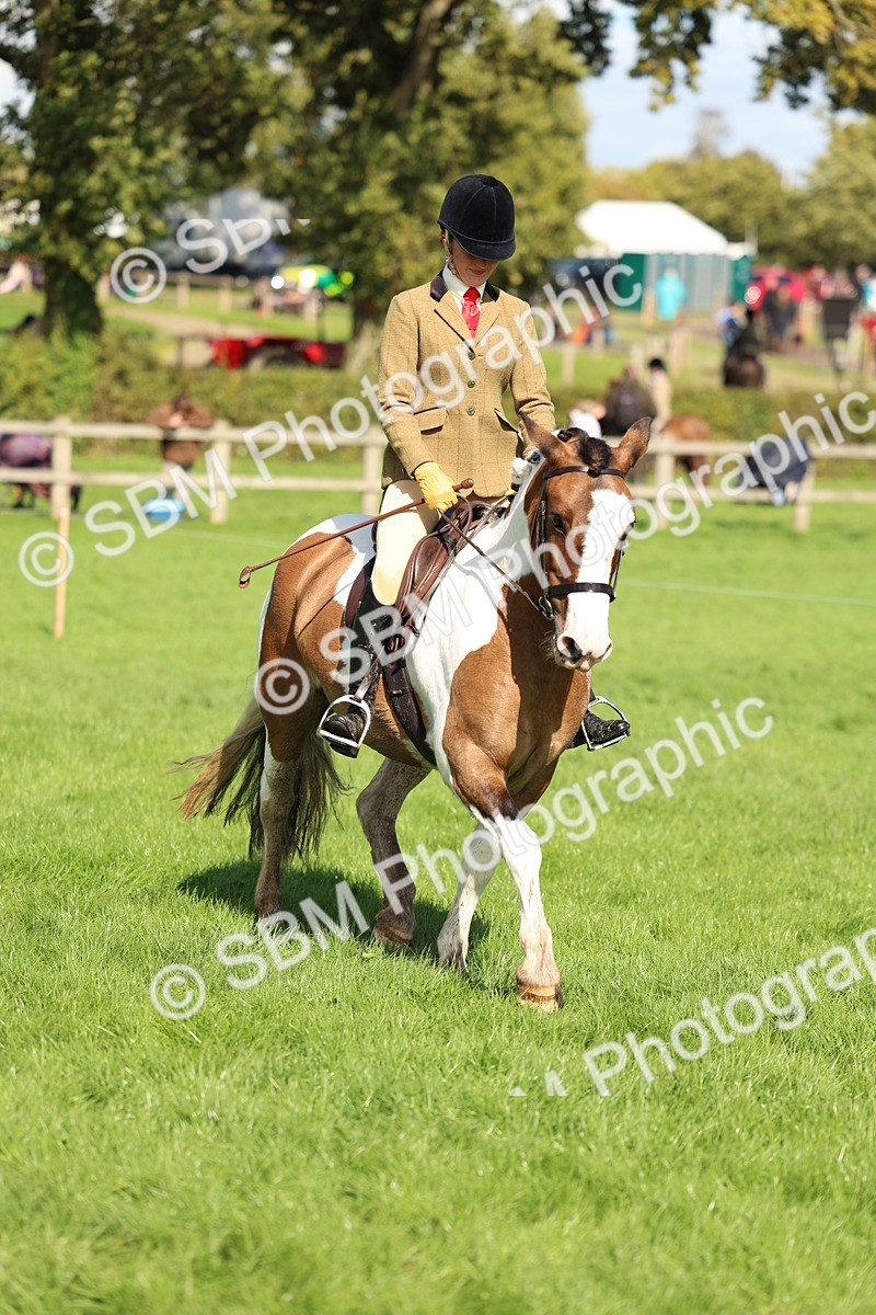 SBM_45483 - S33 - Working Hunter Pony