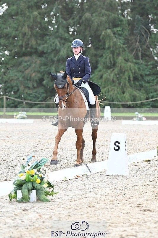 231019-122332-03092 - 113-RIVERSTOWN.ROYAL-Georgie.Frow-DR