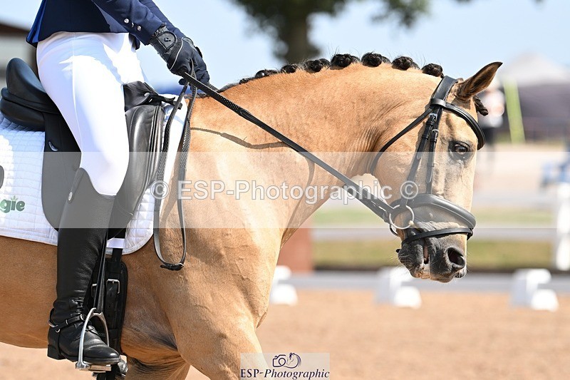 250816-120358-04416 - 060-Felicity.HendySheepcote.Champion.Star