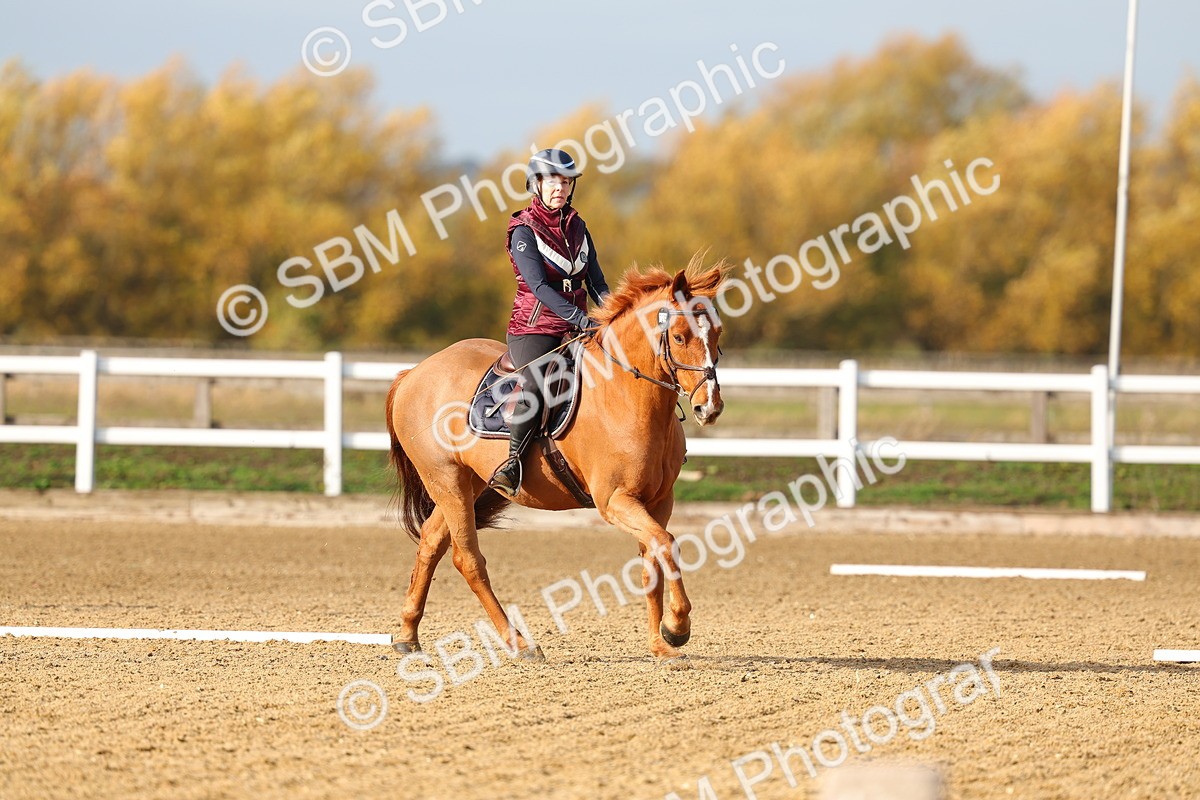 SBM_001178 - Class 13-4-9 - DR P3 CT P3 70cm CT PYO