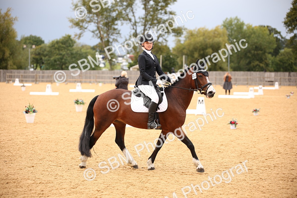 SBM_12227 - D3 Small  Tour Championship Intro A