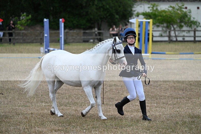 WJ7_8343 - Class 4 Prettiest Mare up to 14.2hh