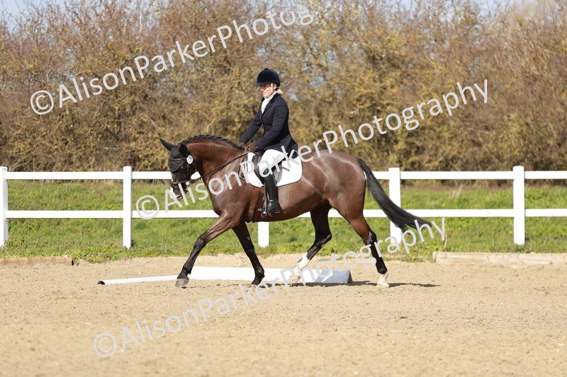 20260314-3054 - DR3 - Prelim 1