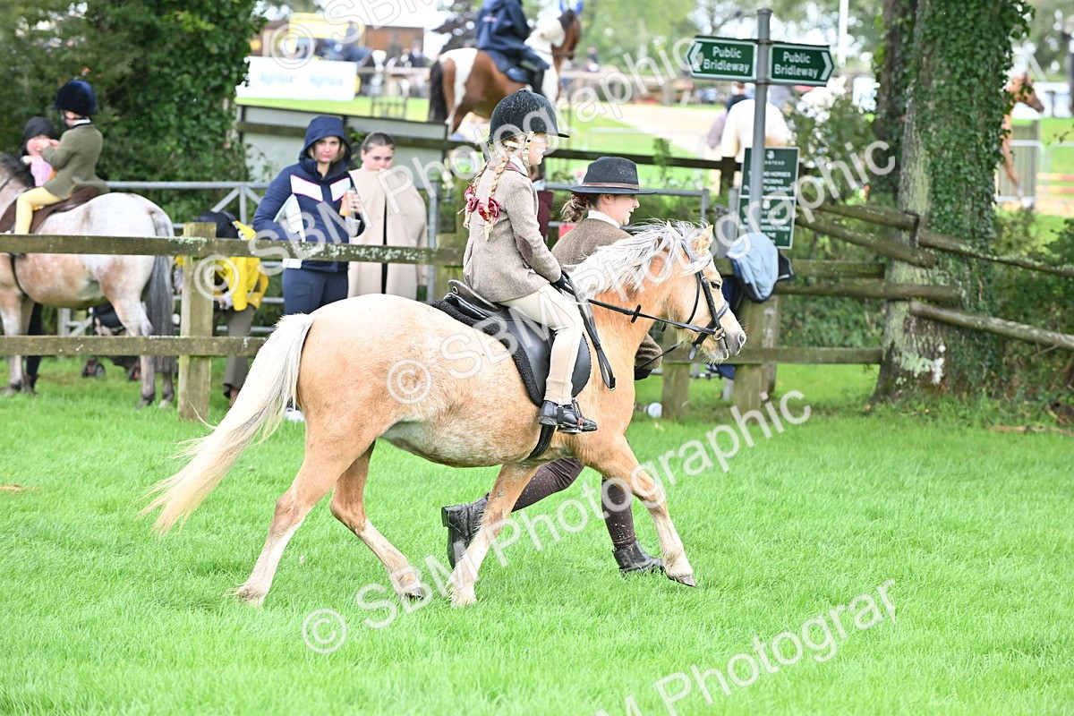 SBM_40119 - S20 - Lead Rein Mountain & Moorland Pony