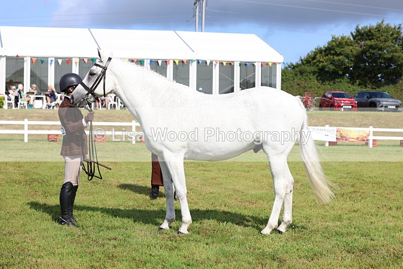 3E7A9118 - Class 3: Rising Star S/L Hunter