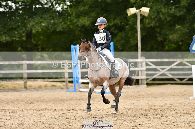 250820A-164403-11135 - 50cm, 16.45 to 18.00