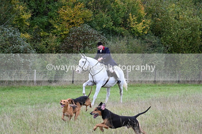 WJ7_3567 - Camera 1 Line 1