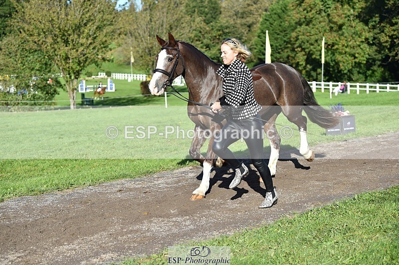 231022-103922-22645 - 440-LODOR.CARL-Katie.Mathias-TrotUp+SJ