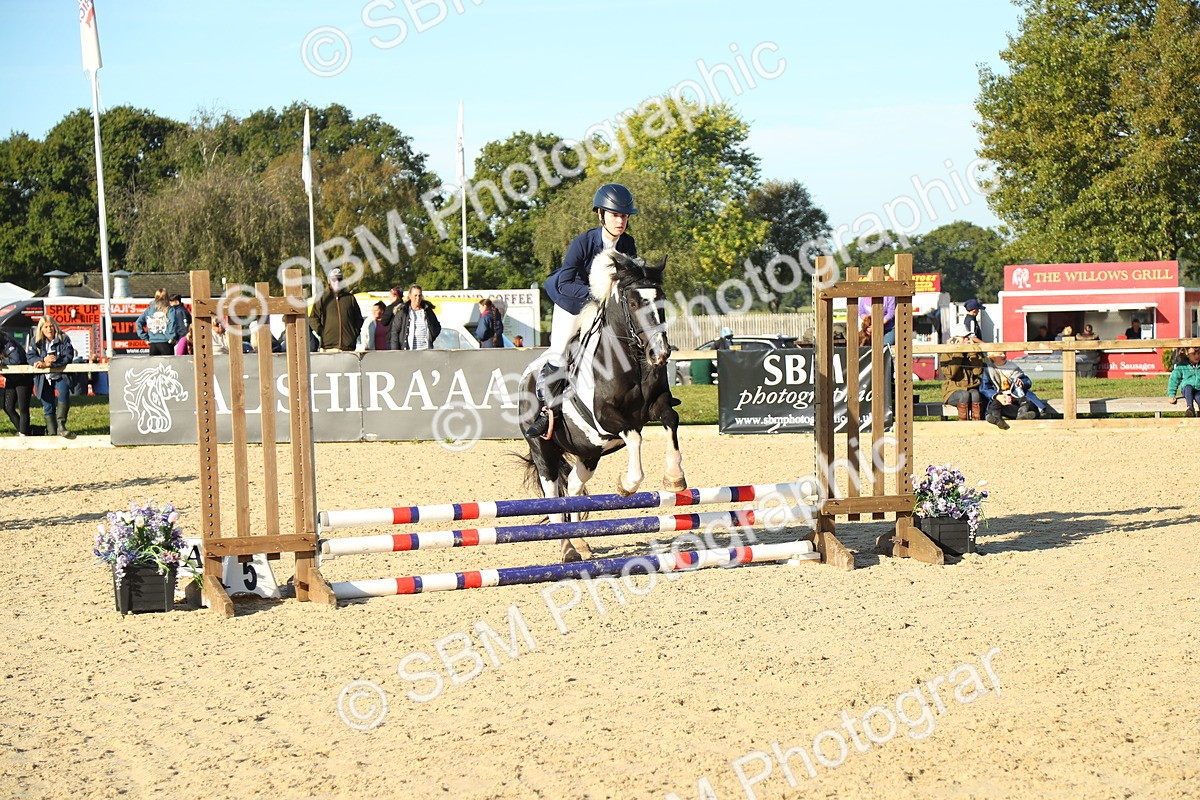 SBM_35037 - J5 - Junior Pony 50cm Championship