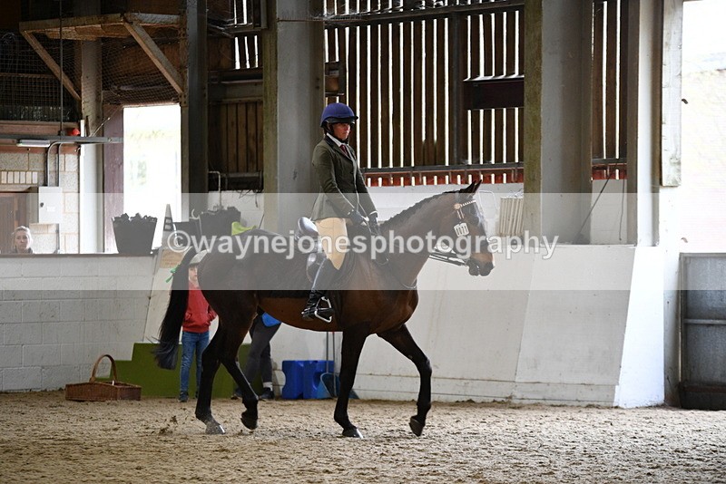 WJ5_7982 - Class 13 Ridden Part Breed