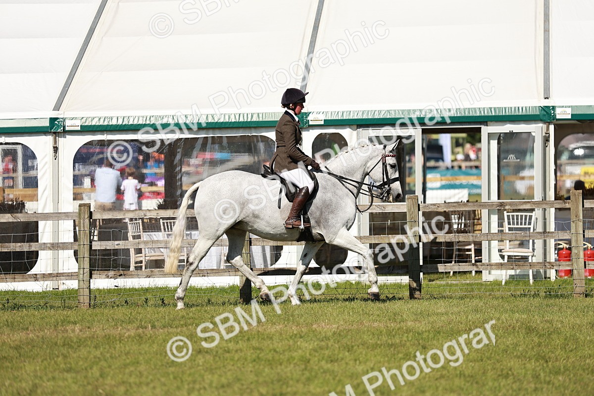SBM_18866 - Class 114 - RIHS & SEIB Open Working Show Horse
