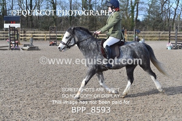 BPP_8593 - TRAINING STAKES