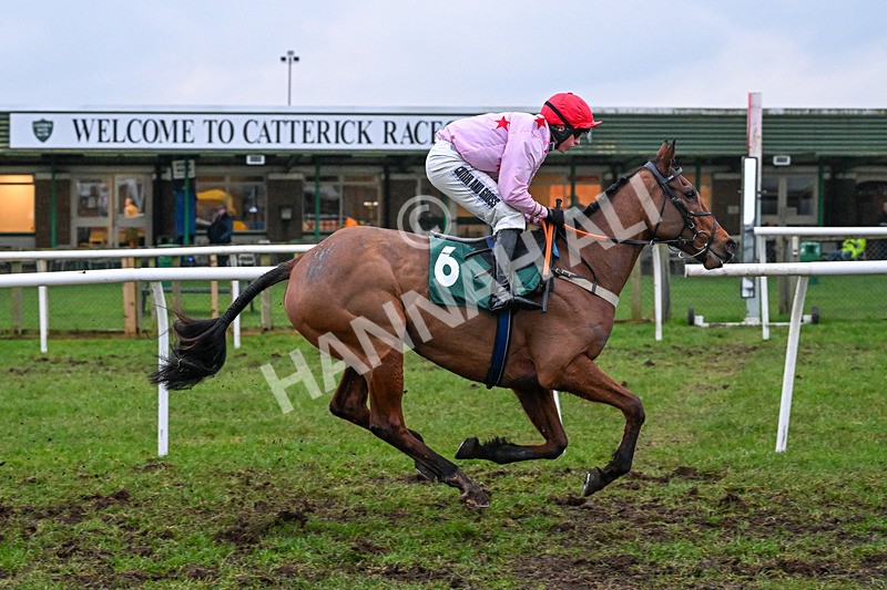 090226-Race 6-Comanche Magic-2280 - Race 6