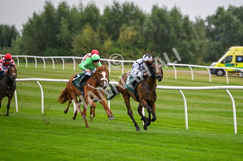 280824-Race 1-Nala Star-3930 - Race 1