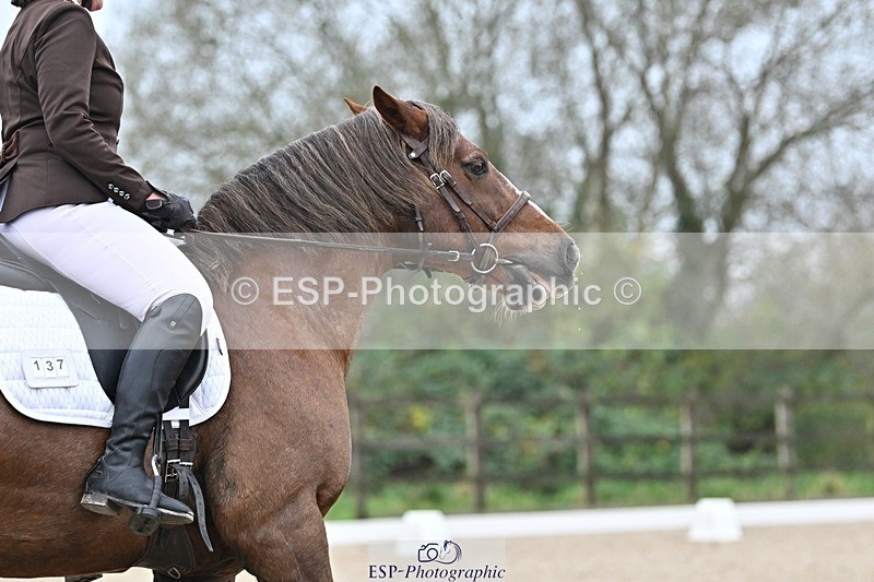 241103-120142-01438 - Prelim 1 - 11.31 to 12.55