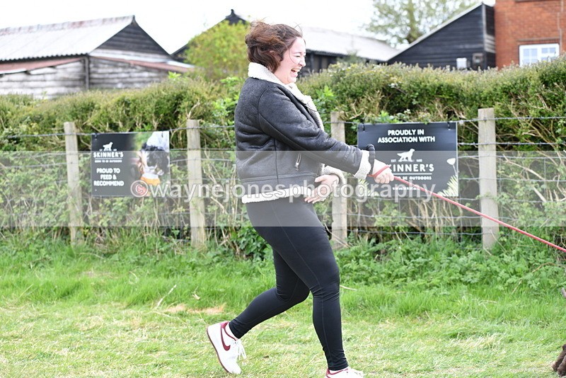 WJ5_0064 - Class 5 Best Veteran / 7 years & over