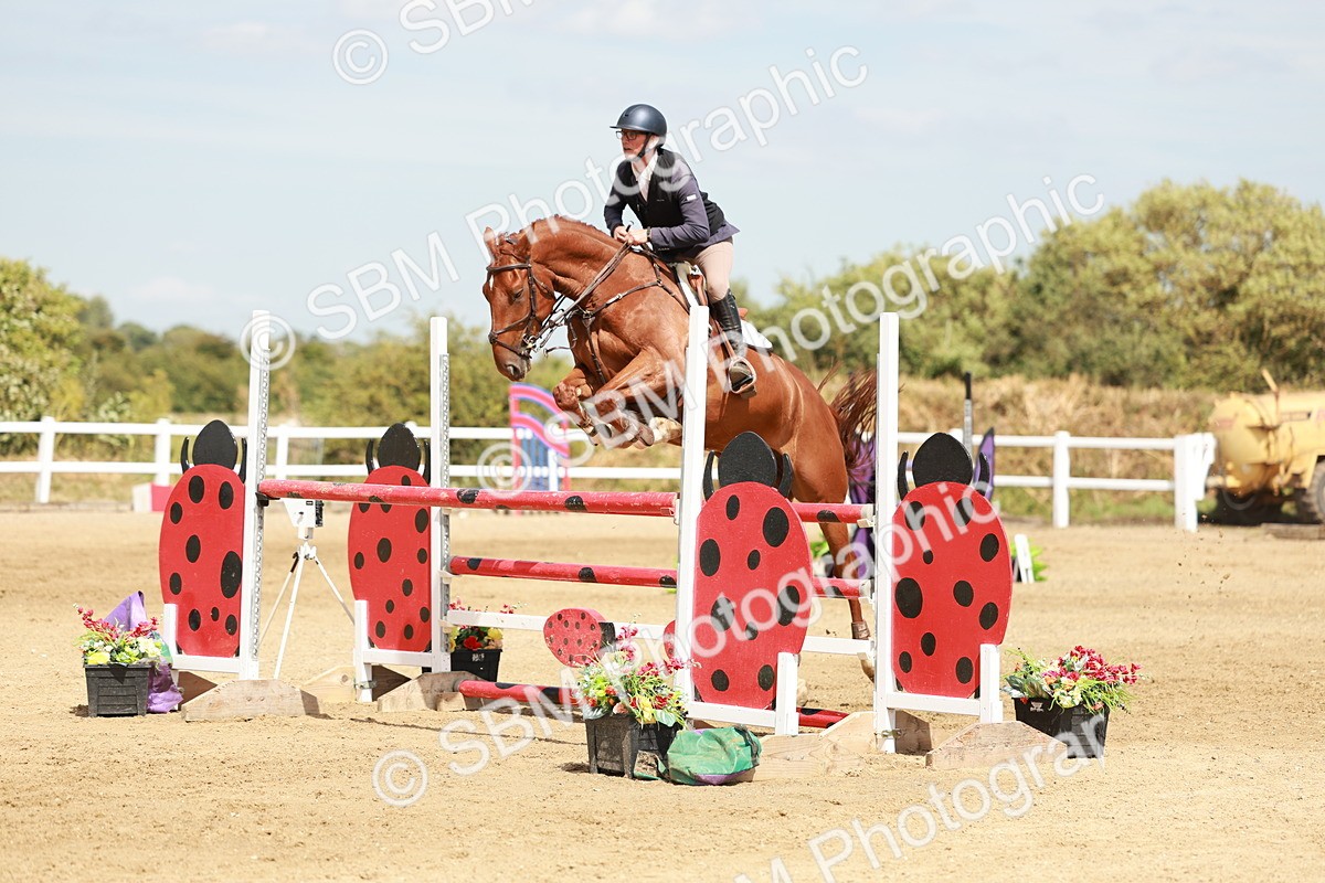 SBM_007886 - Class 4 - Senior Foxhunter - 1.20m Open