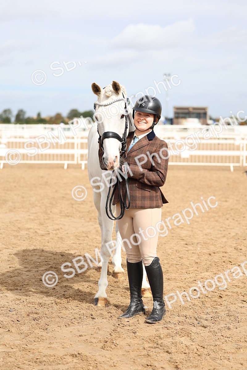 SBM_01869 - Class 18 - Handsomest Gelding - IH or Ridden