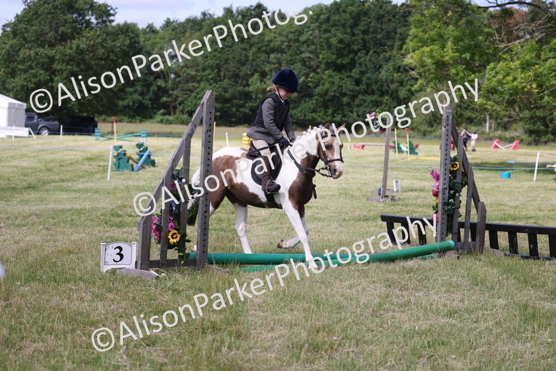 20260614-0679 - Class 20 - Beginners Working Hunter Pony
