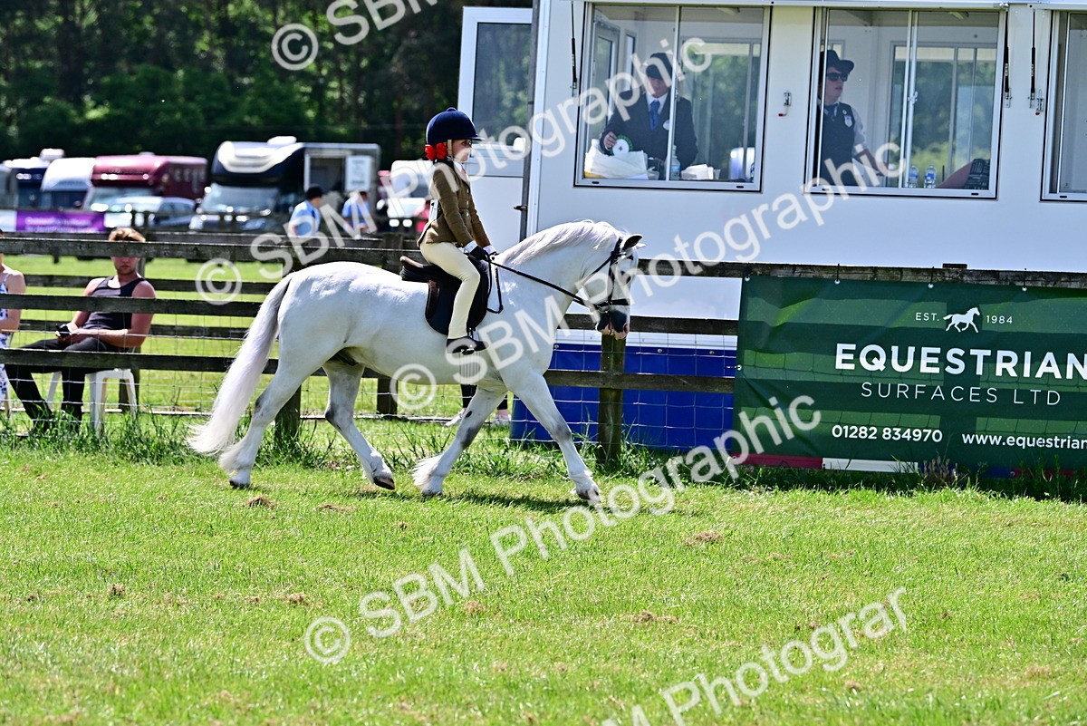 SBM_06016 - Class 59-60 - TSR M&M  Lear Rein and First Ridden Amateur of the year