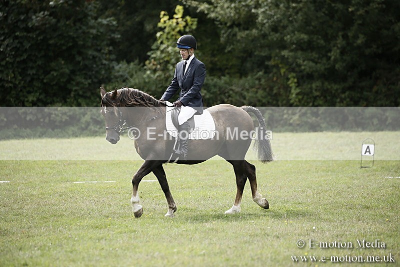 BVR080918 168 - BVRC Novice Dressage & CR 08/09/18