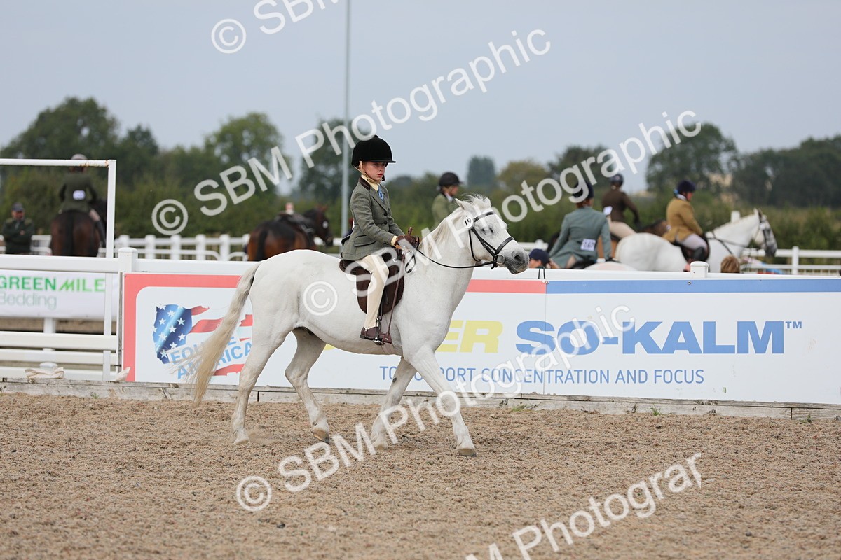 SBM_16924 - Class 314 Family Horse/Pony