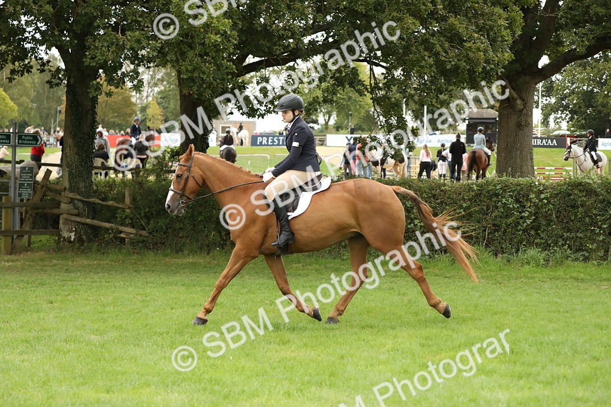 SBM_73762 - S41 - Ridden Equitation (Best Rider)