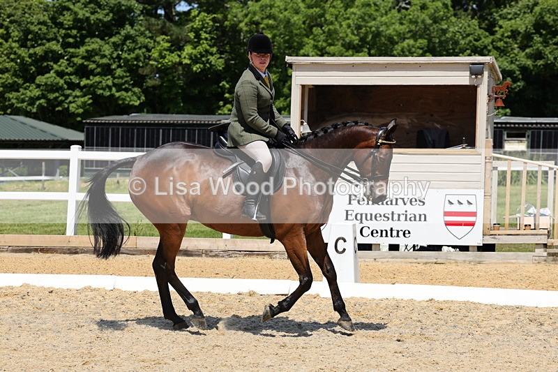 1X9A1867 - Class 12: Ridden Riding Horse/Hack