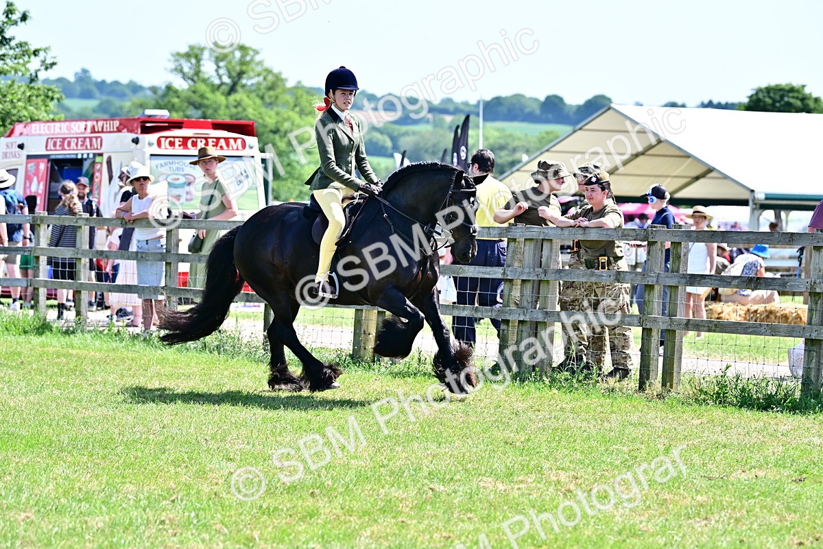 SBM_13997