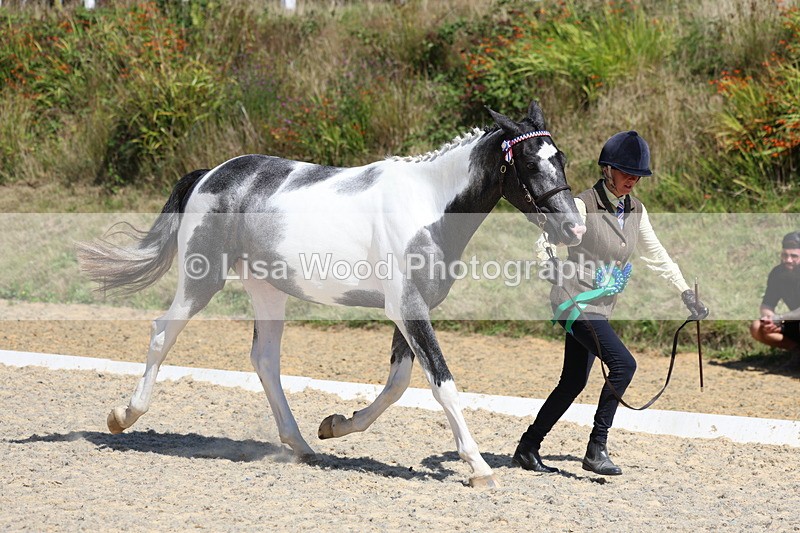 3E7A9860 - In Hand Championship