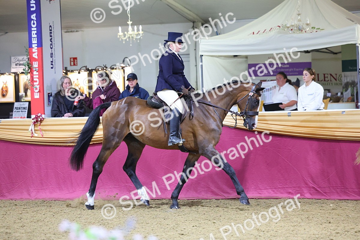 0B8A4595 - Class Q Style & Performance Champ