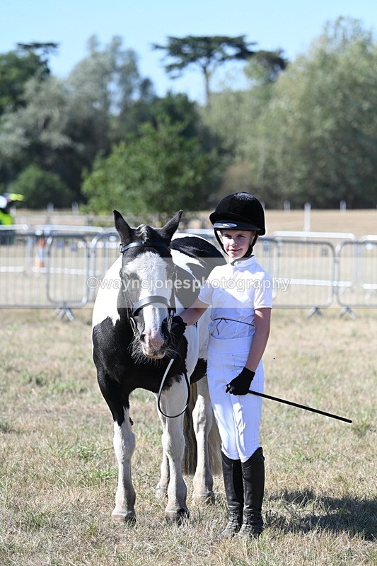WJ7_1915 - Class 43 Best Six Legs (In hand)