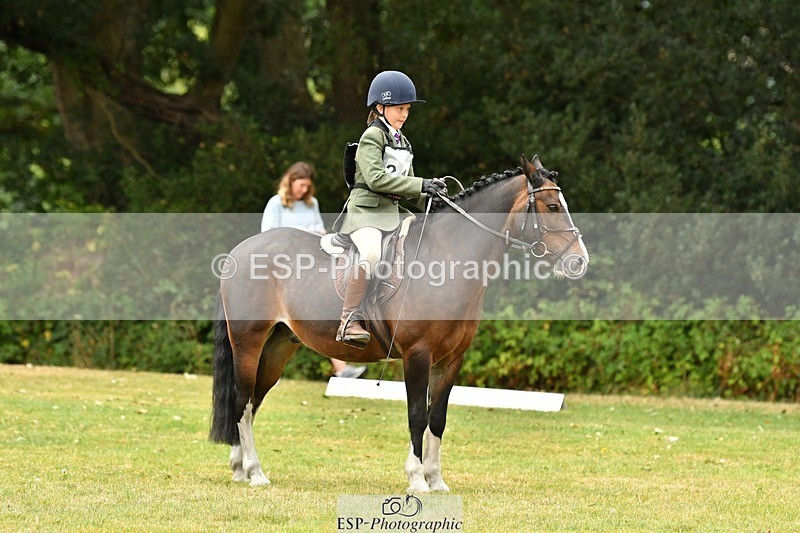 250820A-111533-04973 - 11am to 12