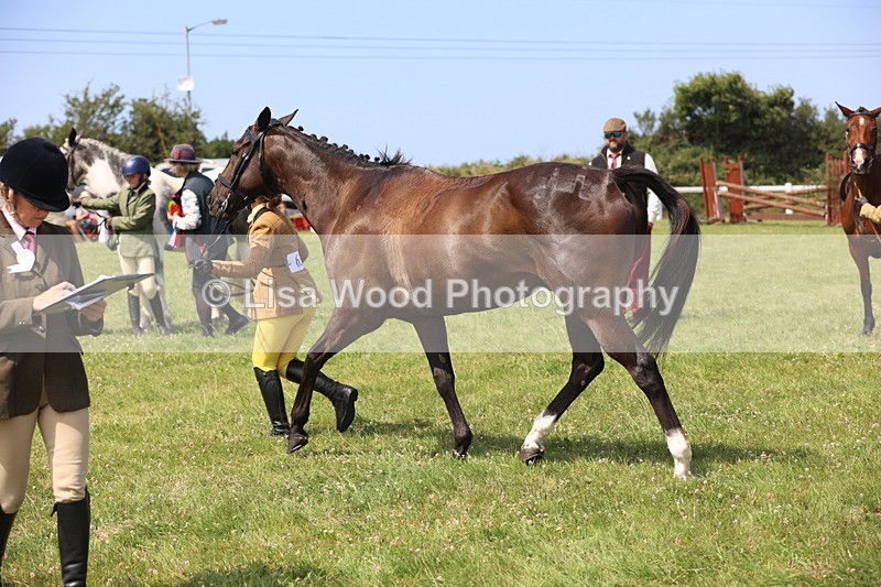 JPP_3440 - Class 22: Working Hunter 70cm