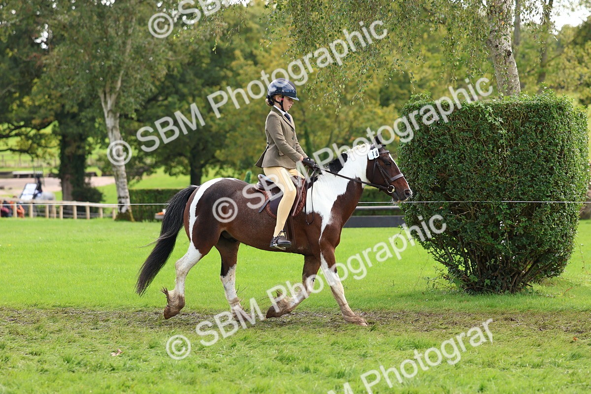 SBM_45188 - S27 - Young Veteran Ridden