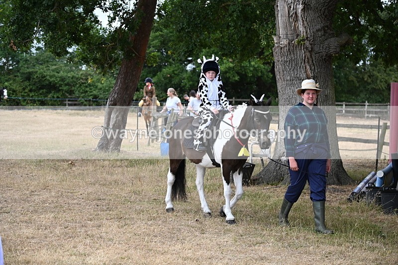 WJ6_8920 - Class 11 Fancy Dress