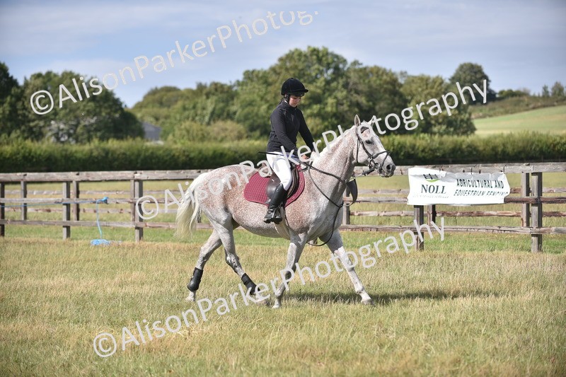 20260906-2703 - Class 13 - Working Hunter Horse or Pony