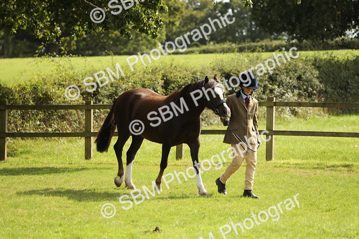SBM_68553 - S40 - Junior Handler 9-12 Years