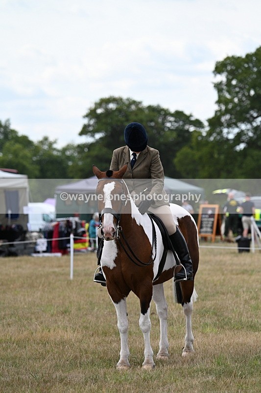 WJ7_5245 - Class 12 Ridden Cob