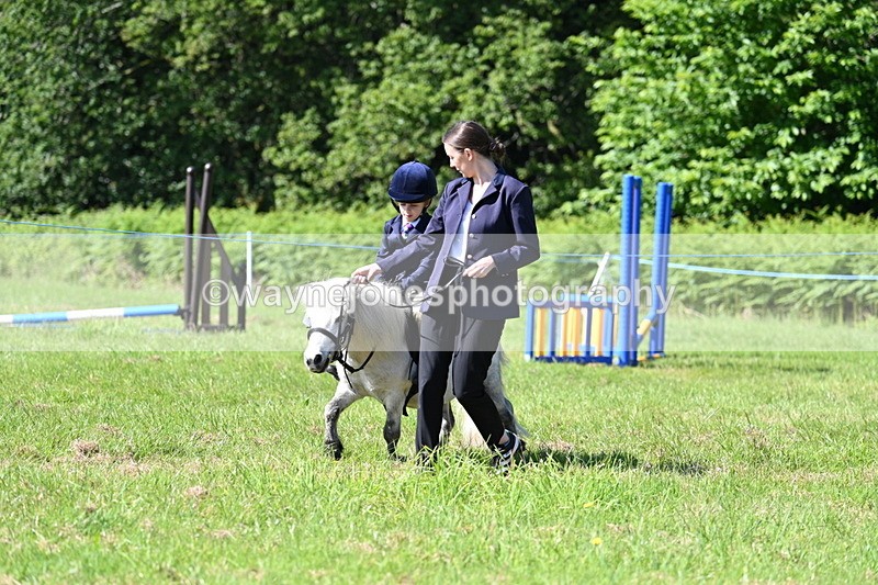 WJ7_0545 - Class 8 First Rally Pony