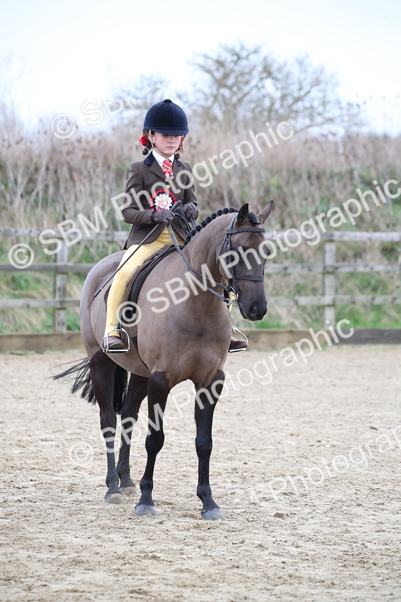 SBM_004799 - Class 5-9 - NPS In Hand-Show Hunter-Intermediate Ridden Inc Ridden Championship