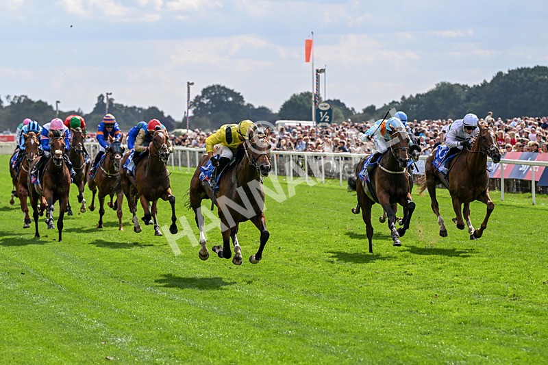 220826-Race 2-Infraad-9769 - Race 2 14.25pm Sky Bet Melrose Handicap