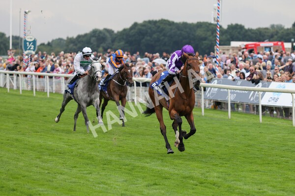 yr19082021r4-38 - Race 4 3.35pm Darley Yorkshire Oaks (British Champions Series race)