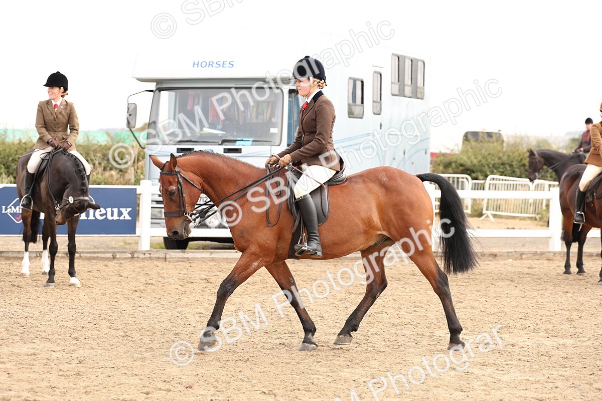 SBM_01542 - Class 52 - Ridden Veteran