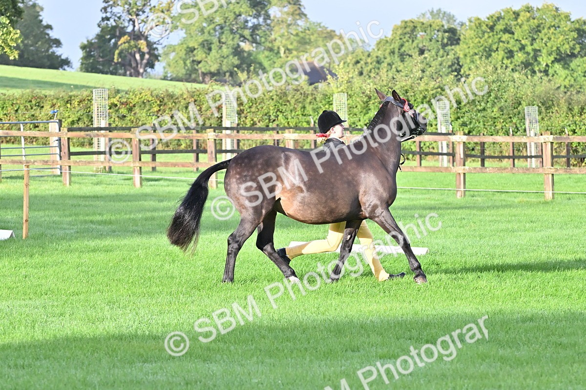 SBM_32612 - S15 - Top Turnout In Hand