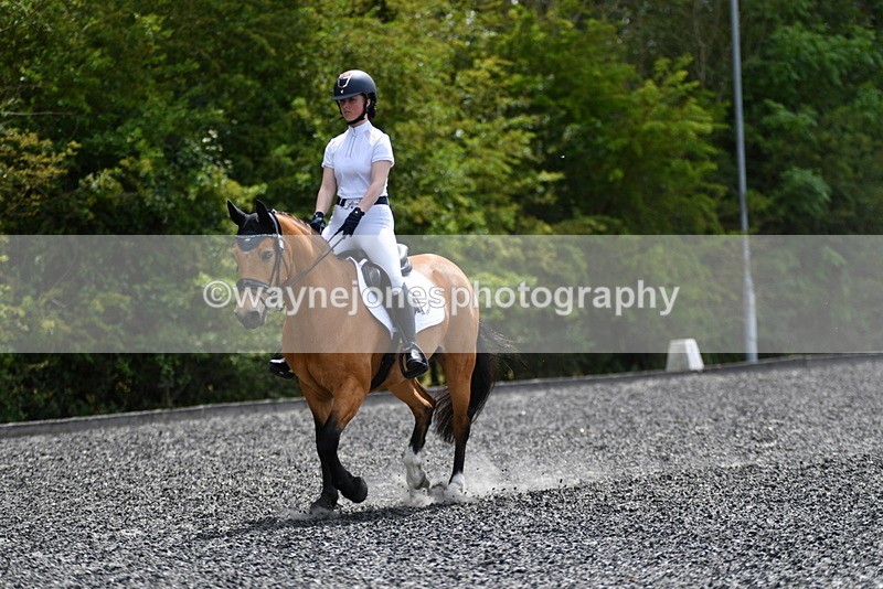 WJ5_0970 - Time 13:45 to 14:20