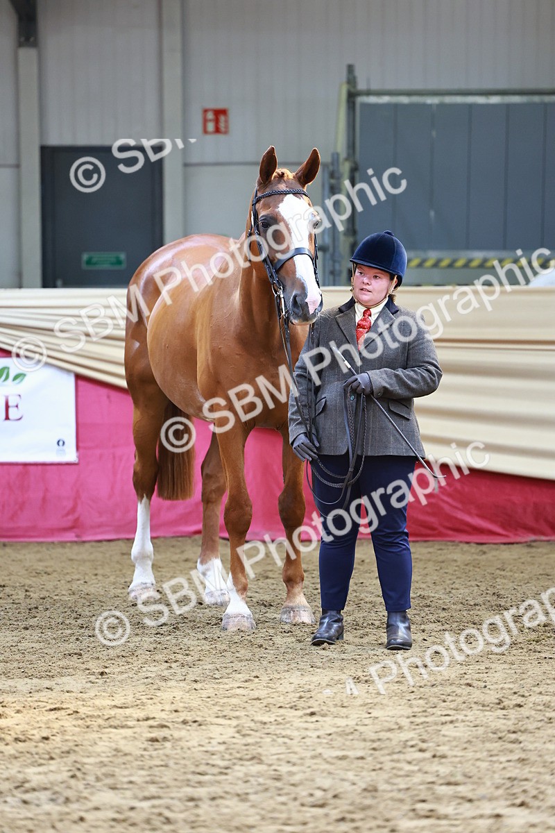 SBM_23119 - Class 903 - Supreme Final - IH Pre Vet