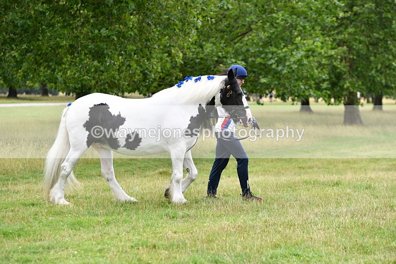 WJ5_9838 - Time at Jump 09:22 to 10:43